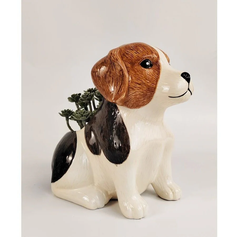 The Dachshund Edit